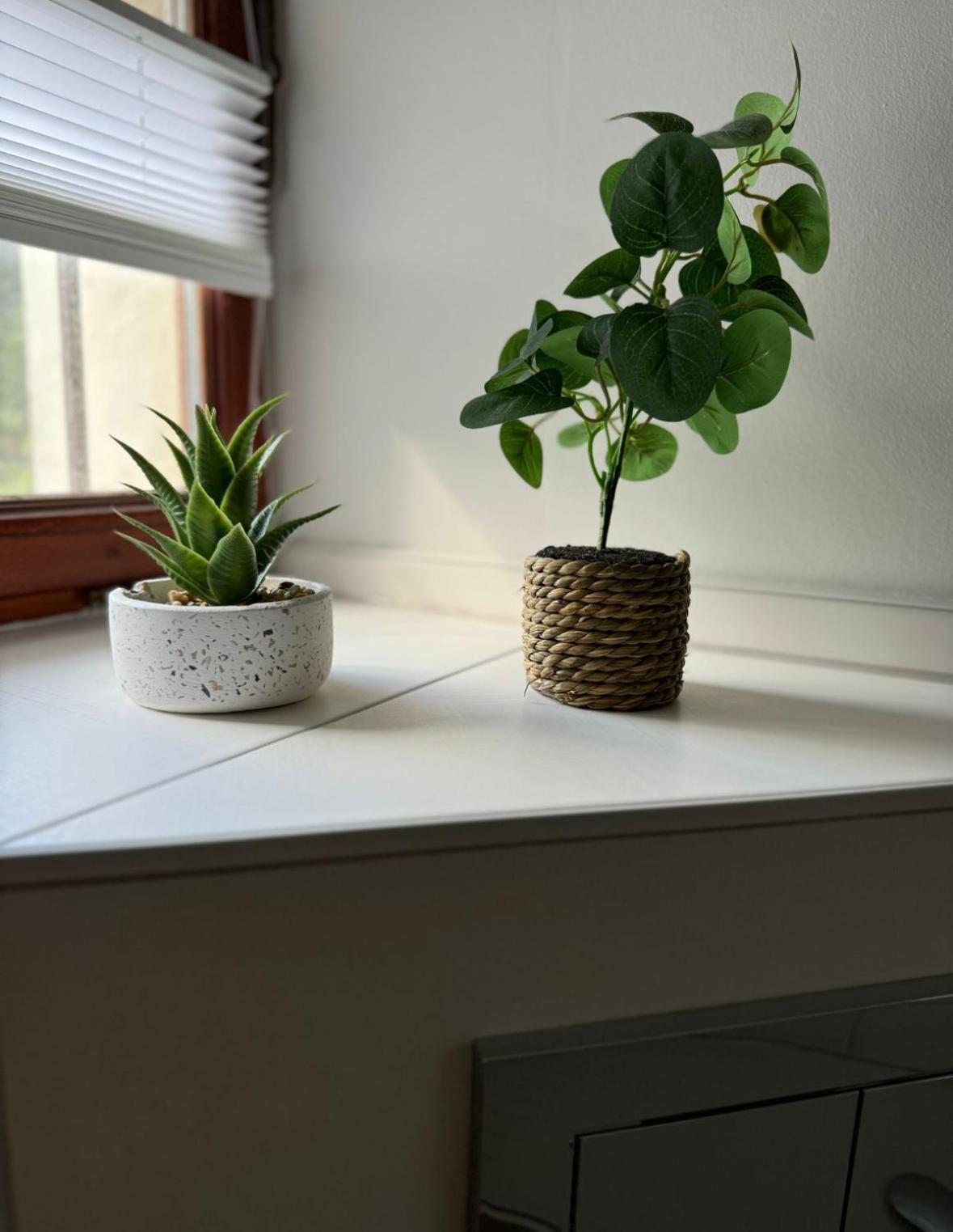 Ferienwohnung Neue Quickbox Thale Εξωτερικό φωτογραφία