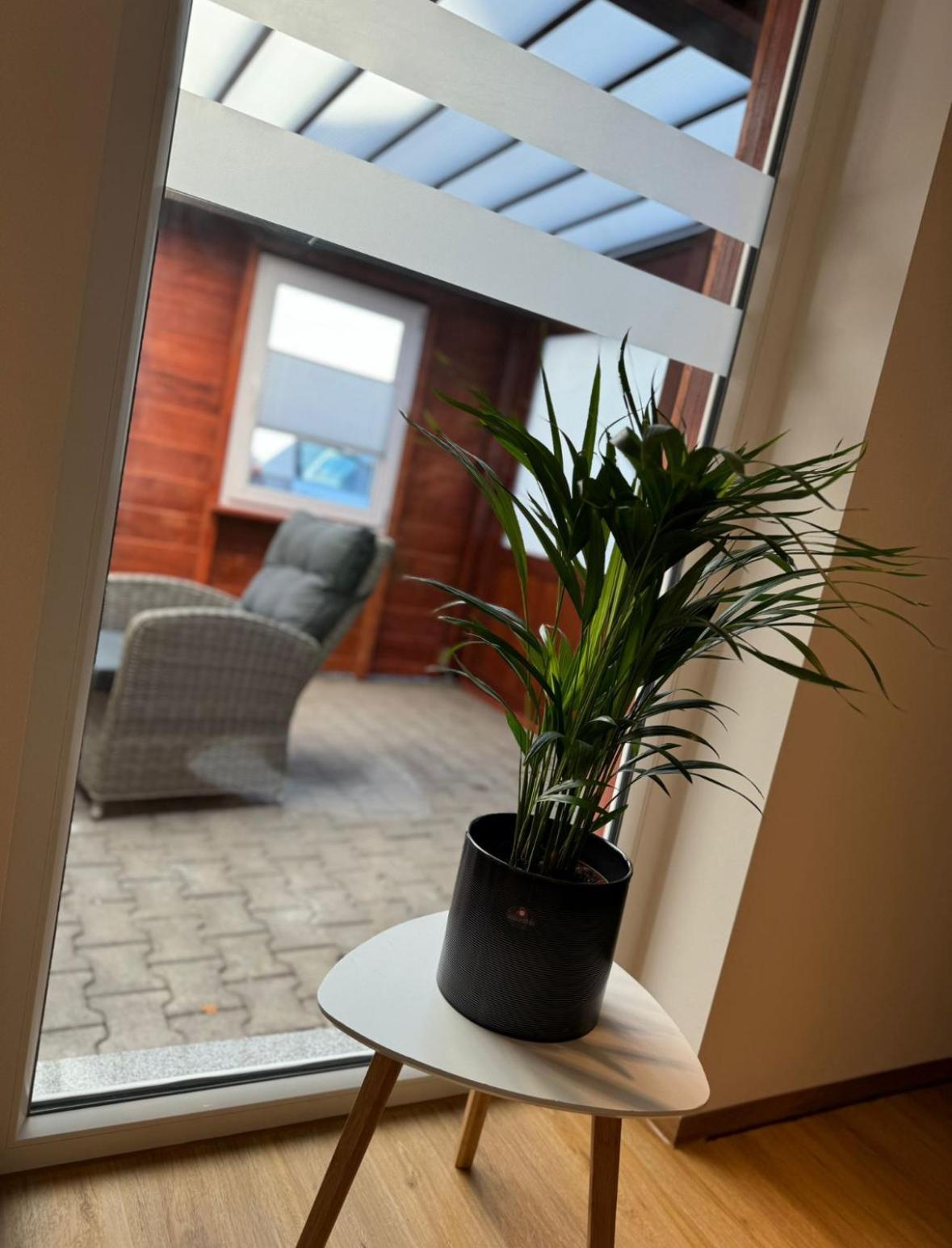 Ferienwohnung Neue Quickbox Thale Εξωτερικό φωτογραφία
